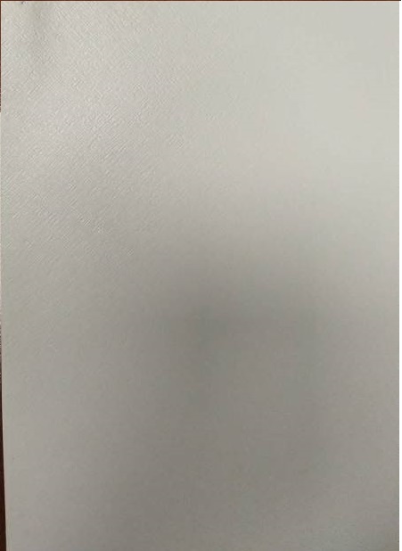 Панель МДФ Лофт бежевый 2700х240 мм Wand der Welt (8шт. уп)