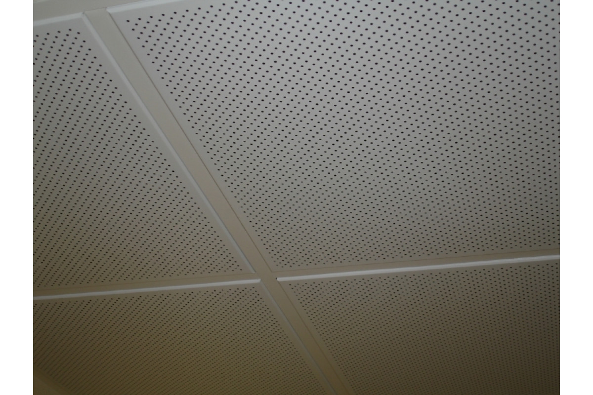 Панель AP600А6-Е Эконом/45 Т-24  А903RUS01 белый ПЕРФОР. матов.(алюм.). Арт.(6396-29077) (36 шт/уп.)