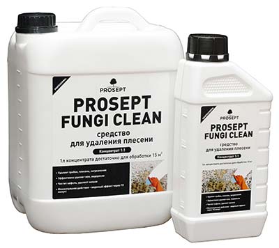 ПРОСЕПТ FUNGI CLEAN удалитель плесени с минеральных поверхностей 1л концентрат 1:1