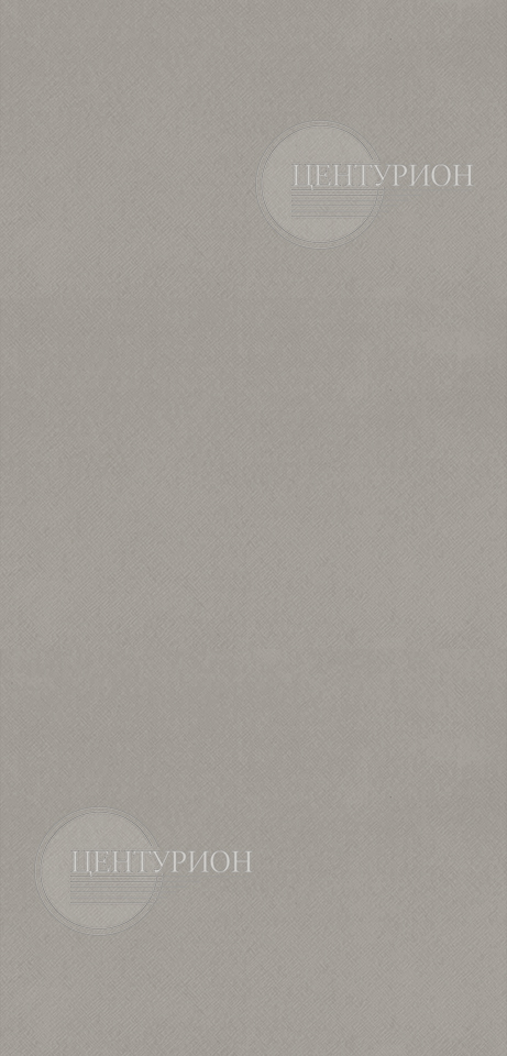 Панель МДФ Лофт светлый 2700х240 мм Wand der Welt (8шт. уп)