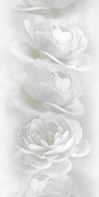 Панель ПВХ Белые розы № 851 250х9х2700 мм  (10 шт.уп)