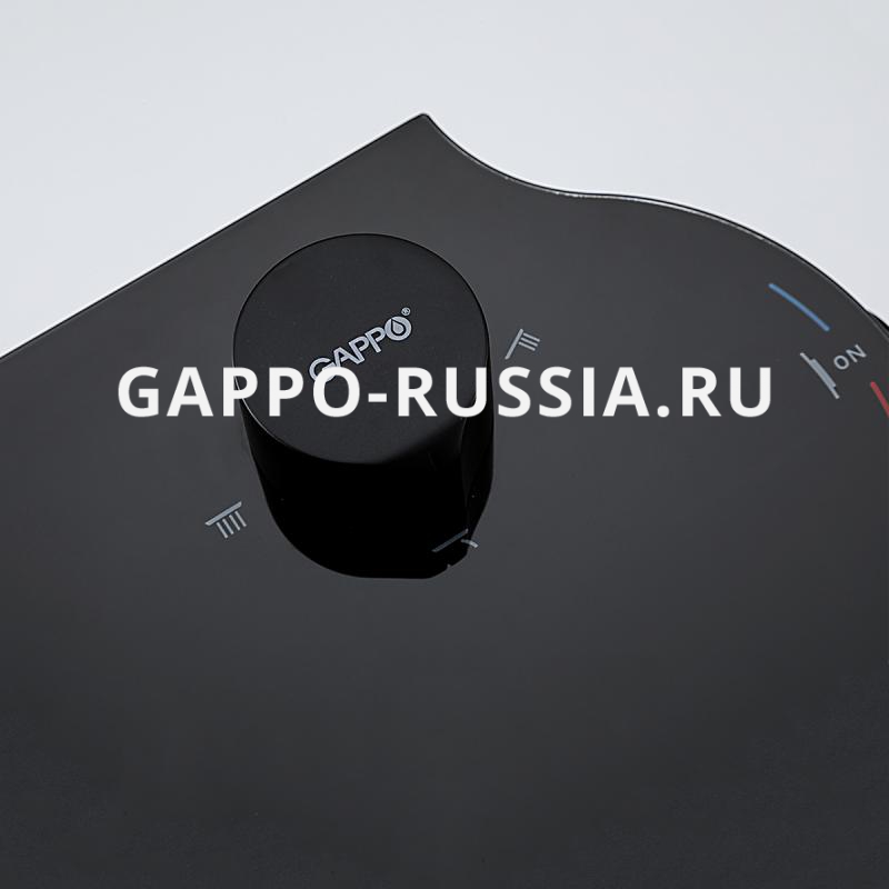Душевая система GAPPO с верхним душем и ручной лейкой (черный) G2495-86  NEW