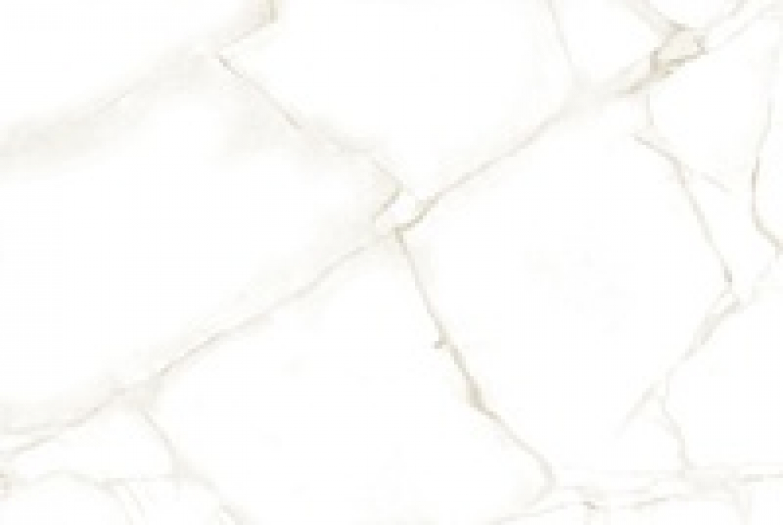 //