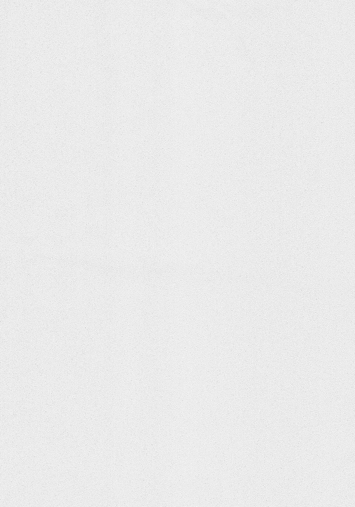 Обои винил на флиз.основе/ Erismann/ 1,06*10м 4055-12