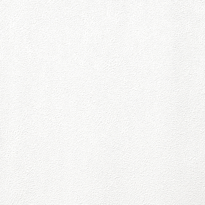 Обои винил.на флиз.основе Profi Deco Color 1,06*10м 60505-01