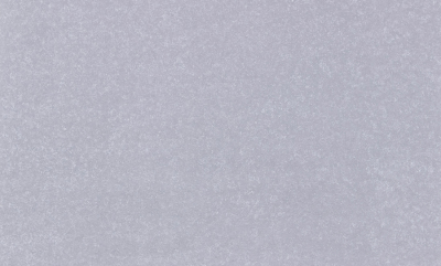 Обои винил на флиз. основе /VOG Collection / 1,06*10 м 90078-65