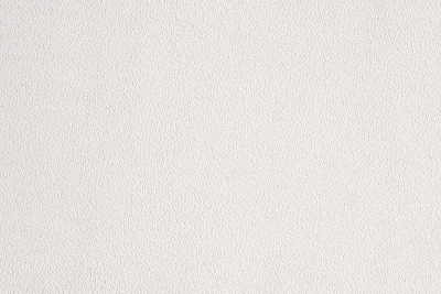 Обои виниловые 1007-11 Снежок  (25*1,06 м) под покраску VILIA