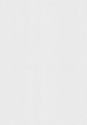 Обои винил на флиз.основе/ Erismann/ 1,06*10м 4055-12